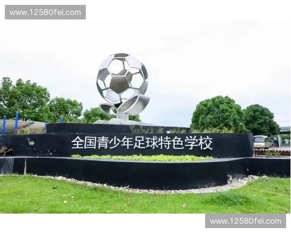 深入解析欧洲各国主要足球联赛体系与特色赛事全景权威综述指南篇